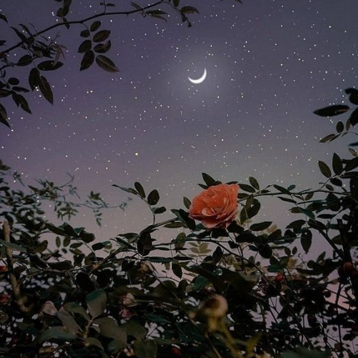 aspartame-free guide to being happier in 2023!