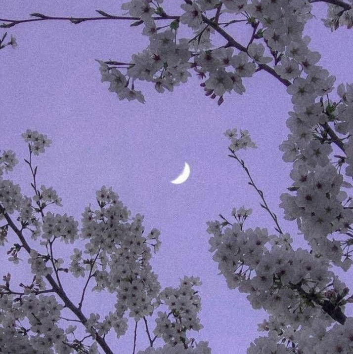 your maxims are your actions.